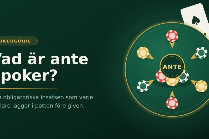 Vad är ante i poker? Så fungerar den obligatoriska insatsen