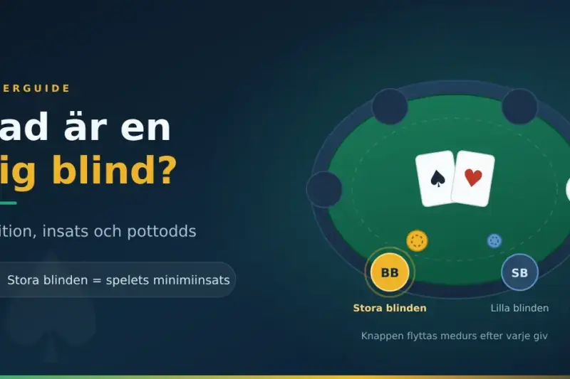 Vad är en big blind i poker? Position, insats och pottodds